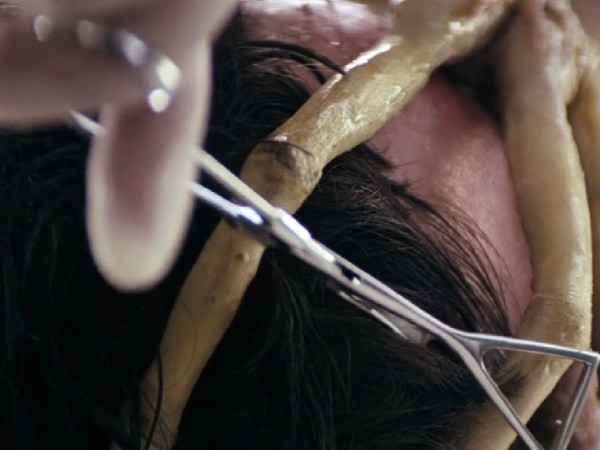 Season 3: Episode 7- Alien Ecology (Alien and Aliens- 1979/1986)