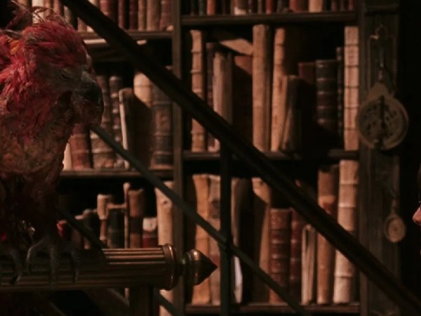 Season 3: Episode 8- Physiology of Hogwarts (Harry Potter- 2001/2011)