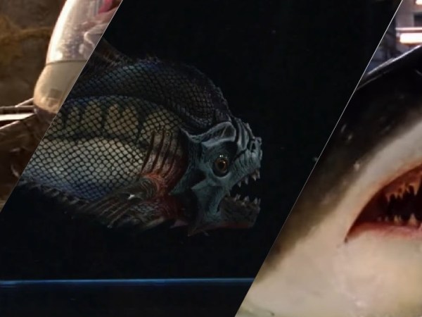 Season 3: Episode 16- Deep Piranha Placid (1999/2010/1999)