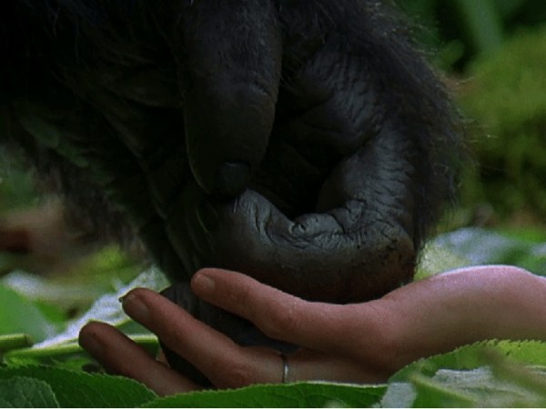 SEASON 4: EPISODE 4- MONKEY MADNESS PART 2- FOSSEY POSSEY (GORILLAS IN THE MIST- 1998)
