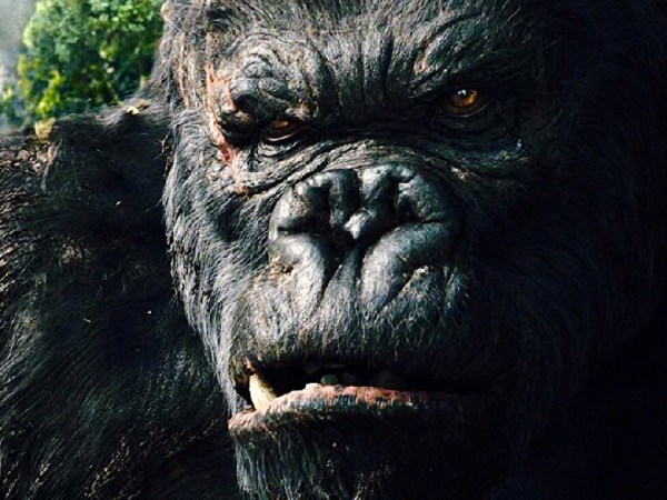 SEASON 4: EPISODE 3- MONKEY MADNESS PART 1- EVERYTHING WRONG WITH KONG (KING KONG- 2005)