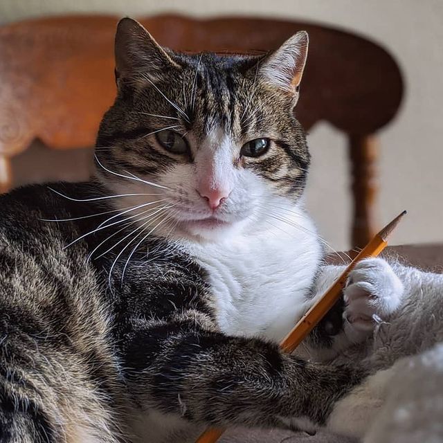 92898605_227769781623954_5707631145344580210_n